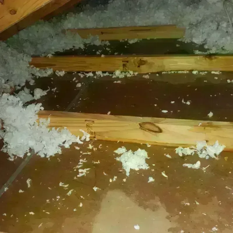 Attic Water Damage in Glenpool, OK