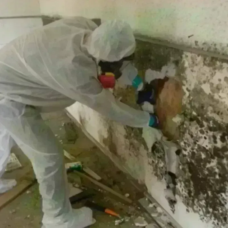 Mold Remediation and Removal in Glenpool, OK