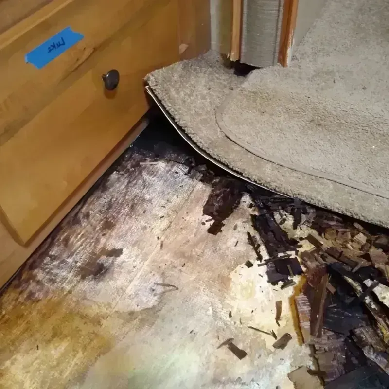 Wood Floor Water Damage in Glenpool, OK